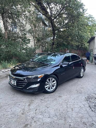 Chevrolet Malibu: 2020 г., 1.5 л, Автомат, Бензин, Седан at lalafo.kg Chevrolet Malibu: 2020 г., 1.5 л, Автомат, Бензин, Седан