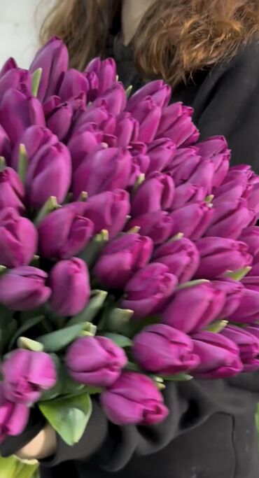 Цветы и букеты: Тюльпаны Оптом 🌼️ Хочешь покорить сердца миллионами улыбок? Начни с — 5