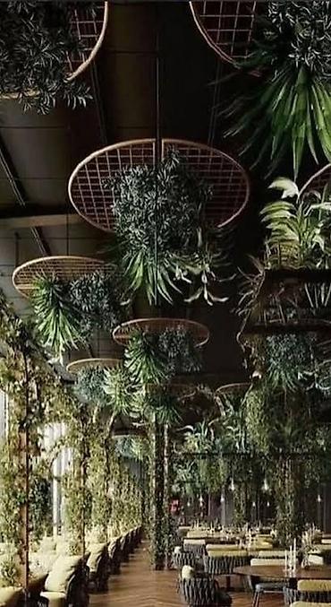 zeleniy cay: Green House Azerbaijan. Dekor interyer Kafe×restoranlar üçün — 6
