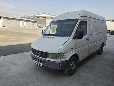 Mercedes-Benz Спринтер: 1995 г.