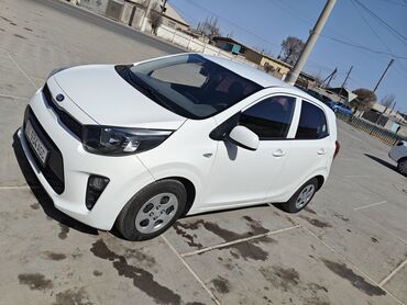 авто новый: Kia Morning: 2019 г., 0.1 л, Автомат, Бензин, Кроссовер