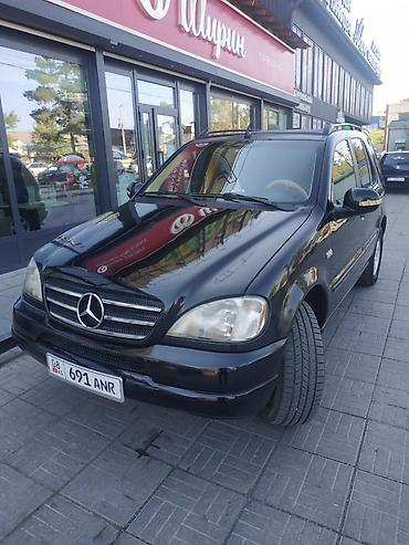 Mercedes-Benz ML-Class: 1999 г., 4.3 л, Автомат, Газ, Внедорожник