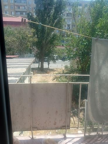 qebele ev satilir: Masazır, 2 otaqlı, Köhnə tikili, 60 kv. m — 4