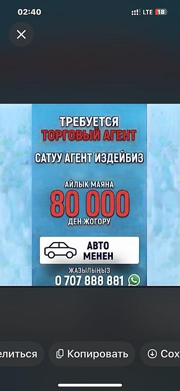 Вакансия: торговый агент - Требуется торговый представитель (сатуу