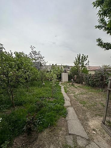 Куплю дом: 42 м², 4 комнаты — 9