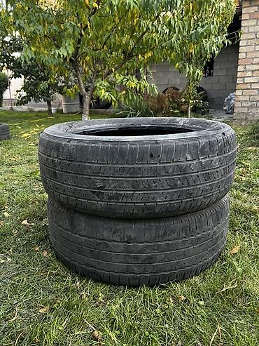 шины 225 55 r19: Пара автомобильных шин Goodyear EfficientGrip Performance (по — 1