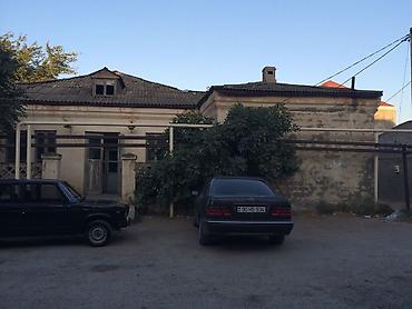 semkir bina az: Bileceride abekt satilir — 3