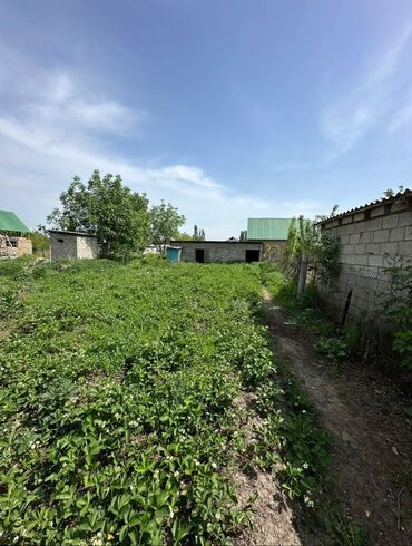 земельный участок первая линия: Үй, 58 кв. м, 3 бөлмө, Менчик ээси, Косметикалык оңдоо