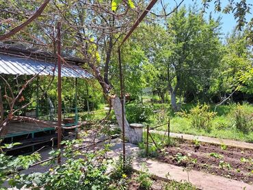 продаю земельную долю: 5 соток, Бизнес үчүн, Кызыл китеп