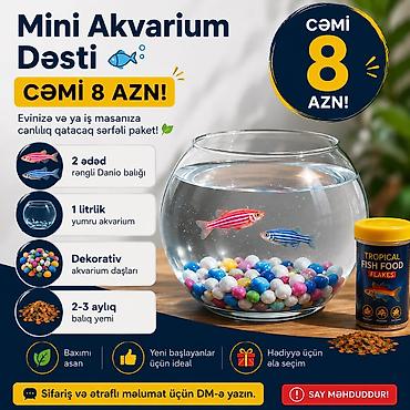 akvarium balıq novləri: Yumru akvarium, Balıqlarla birlikdə, 1 l, Ünvandan götürmə, Pulsuz çatdırılma, Ödənişli çatdırılma — 1