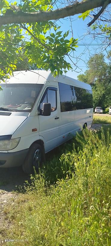 монгол ат: Пункт назначения: Все направления, Лицензия №: 08В004764 — 1