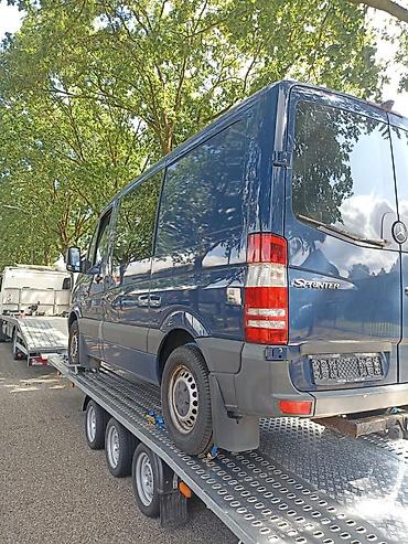 рекс спиринтер: Mercedes-Benz Спринтер: 2012 г., 2.2 л, Дизель, Бус — 5