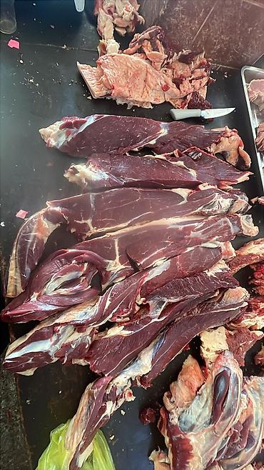 оптом куры: Частное лицо : Коровы, быки, Козы, козлы, Лошади, кони, | На забой, на мясо — 5