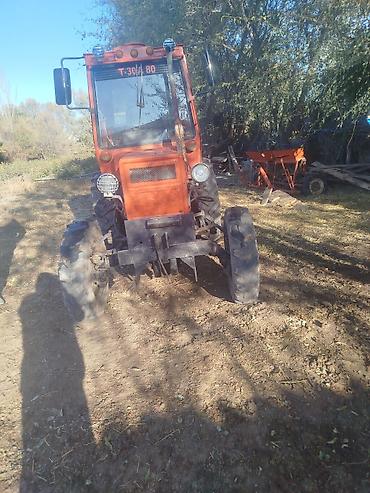 daewoo rcc 601ba: Трактор Т-30 А80 с кабиной и навесным оборудованием — 1