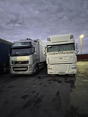 Тягачи: Тягач, DAF, 2008 г., Холодильник, рефрижератор — 1