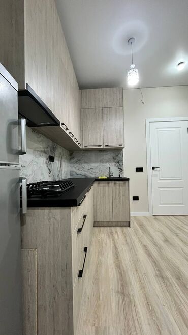 снять квартиру без риэлтора: 2 комнаты, 47 м², Элитка, 7 этаж, Евроремонт