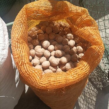 Сухофрукты, орехи, снеки: Продаю орехи 60 сом 1 кг. есть около 40 кг