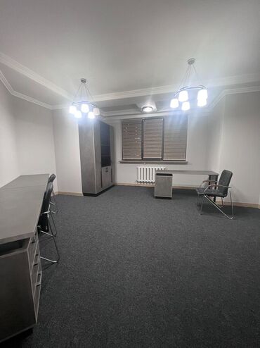Офисы: Бишкек Парк ТРЦ Сдается коммерческое помещение С мебелью Этаж: 1