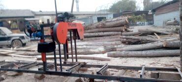 Распиловочные станки: Распиловочный станок без ЧПУ, Ленточный, Новый — 4