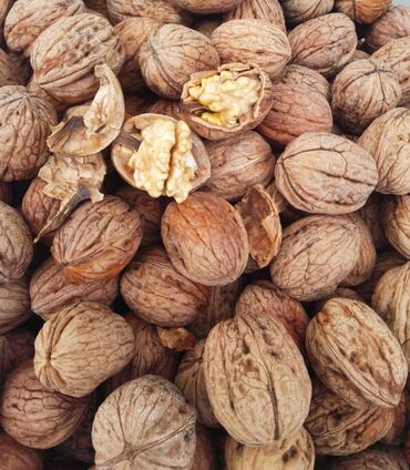 вертолеты на радиоуправлении: 🏞️ Qubadan gəlib Super qozdur rahat bir əllə sındırmaq olur 👍🏻 Nazik