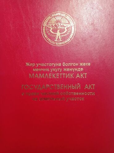 купить боксерскую грушу для дома: Государственный акт на право частной собственности на земельный