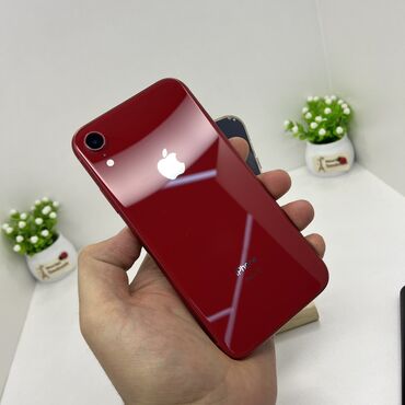 true mass ot bsn: IPhone Xr, Б/у, 128 ГБ, Красный, 81 %