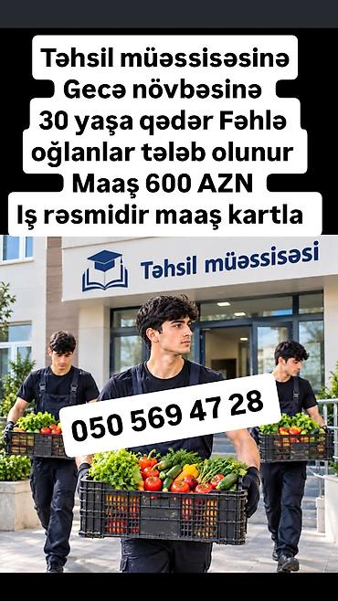 evlere paketleme işi: Qablaşdırıcı tələb olunur, 46 yaşdan yuxarı, Təcrübəsiz, Aylıq ödəniş — 9