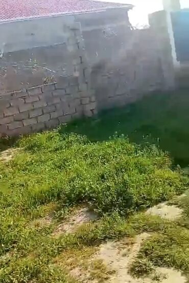 Ev üçün digər mallar: Cox tecli satilir 5min manat opwiy 1.5 sot bine savxozda sened
