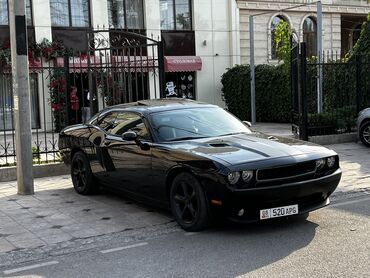 купить дэу матиз автомат: Dodge Challenger: 2013 г., 3.6 л, Автомат, Бензин, Купе