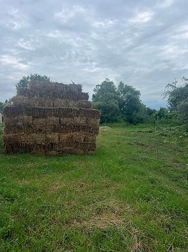 Həyət evləri və villaların satışı: 3 otaqlı, 100 kv. m, Yeni təmirli — 11