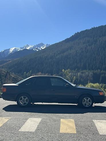 b 4: Audi 100: 1991 г., 2.6 л, Механика, Бензин, Седан — 3