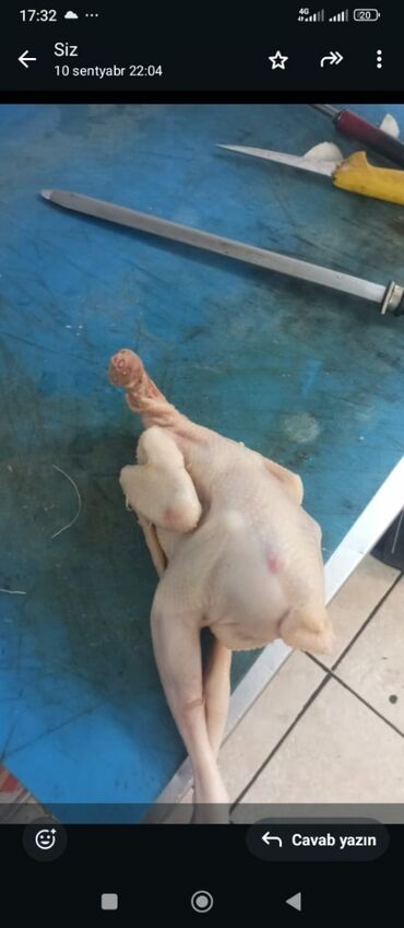 İçkilər: Məhsul: Təmizlənmiş bütöv toyuq cəmdəyi Təsvir: - Lələkdən tam