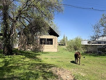 продаю дом киргизия 1: Продаю дом . Село Чалдовар ул.Верхняя 15 соток дом 100 кВ — 4