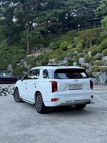 go park: Hyundai Palisade: 2021 г., Кроссовер — 3