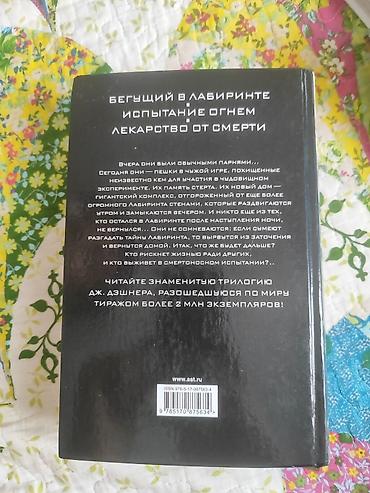 знамя: Фантастика и фэнтези, На русском языке, Б/у, Платная доставка — 2