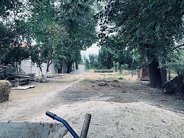 старый аэропорт: НА ТРАССЕ продаются 2 дома на одном участке. (Можно разделить на двоих — 3