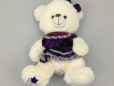 bluzka z długim rękawem pull and bear: Mascot Teddy bear, condition - Perfect