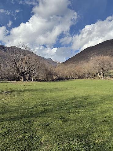 Torpaq sahələrinin satışı: 35 sot, Mülkiyyətçi — 2