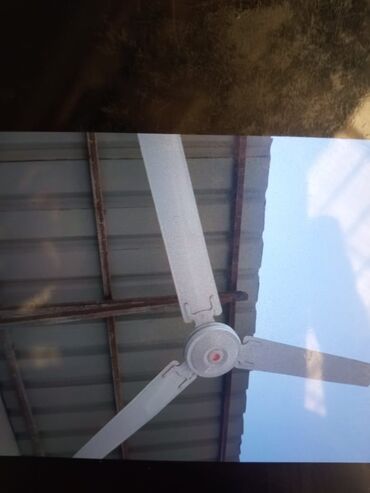 stolüstü ventilyator: Ventilyator