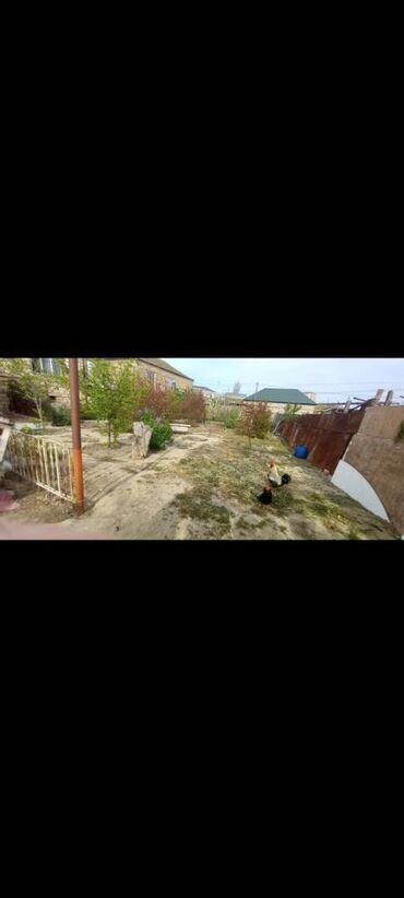 Torpaq sahələrinin satışı: 3 sot, Barter mümkündür, Kupça (Çıxarış)