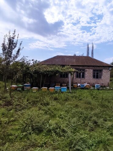 quyu matoru: İmişli rayon Əliqulular kəndində 1ha sahəsi olan torpaqda 3 otaqlı