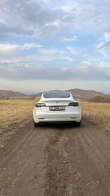 тесла модел 3: Tesla Model 3: 2020 г., Автомат, Электромобиль, Седан — 4