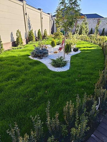 Ремонт под ключ: АВТОПОЛИВ и ОЗЕЛЕНЕНИЕ Ландшафтный дизайн ### Вашего — 11