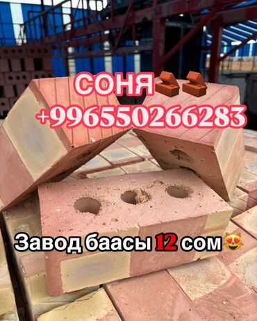 кирпич цтанок: Пустотелый, дырчатый, Жженый кирпич, 250x120x90