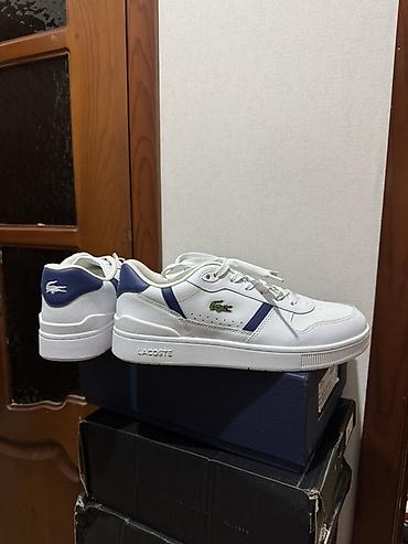 lacoste кроссовки: Мужские кроссовки, 43, Lacoste, Новый, цвет - Белый, Самовывоз — 1
