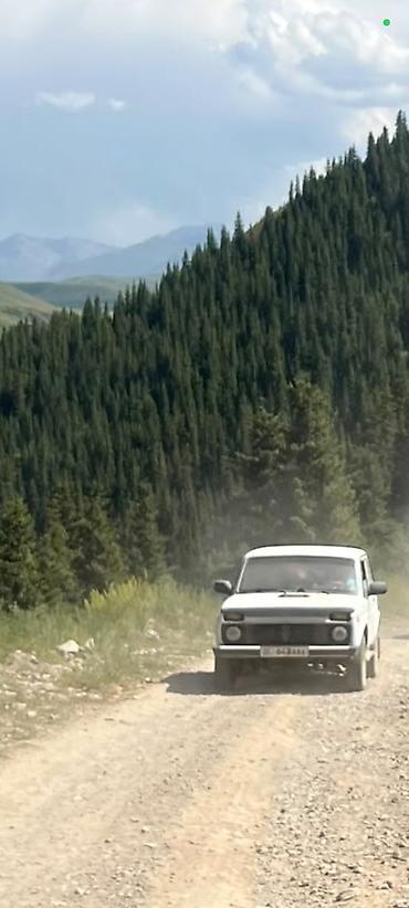 385 55: ВАЗ (ЛАДА) 4x4 Нива: 2007 г., 0.7 л, Механика, Бензин, Внедорожник — 1