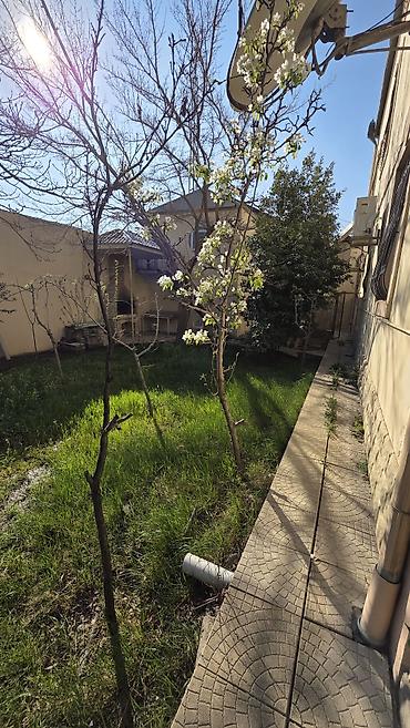 Həyət evləri və villaların satışı: 6 otaqlı, 450 kv. m — 13