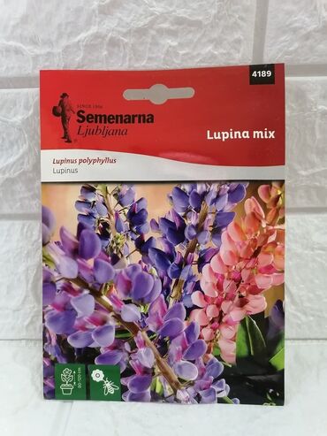 Semena i sadnice: Cena 500din/kesica — 10