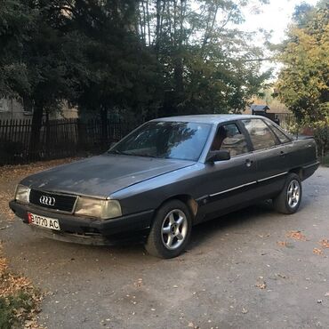 авуди старушка: Audi 100: 1987 г., 2.2 л, Механика, Бензин, Седан