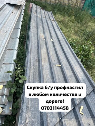 томат айлана цена бишкек: 🛠 Скупка профнастила в Бишкеке и области Покупаем профнастил б/у и